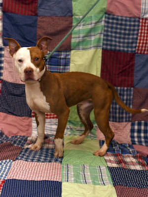 Steve - Photo 4