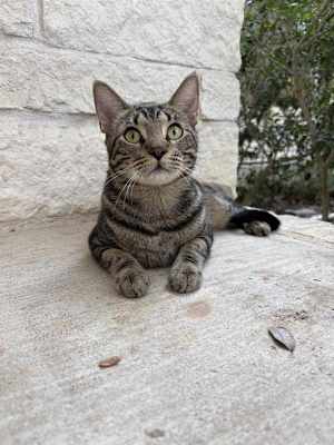 Max - Photo 1