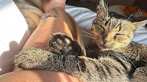 Cleo - Photo 2