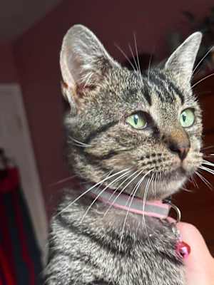 Cleo - Photo 3