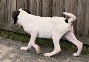 Wilma~meet me! - Photo 2