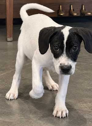 Wilma~meet me! - Photo 3
