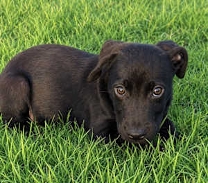 Bugsby~meet me! - Photo 2