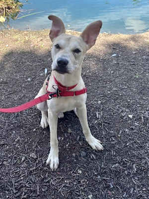 Tucker - Photo 3