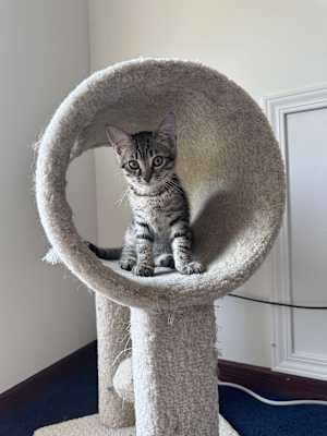 Ezran - Photo 1