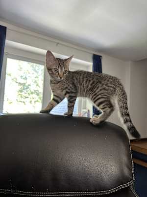 Ezran - Photo 4
