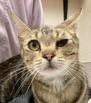Alberta - Photo 2