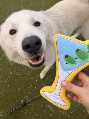 Zeus - Photo 3