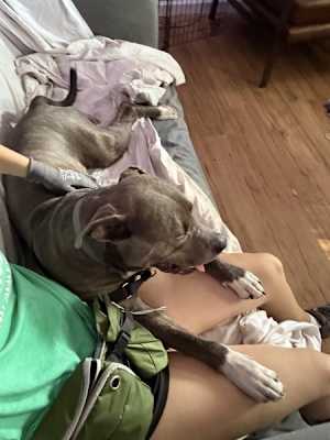 Otis - Photo 3