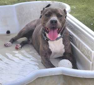 Otis - Photo 4