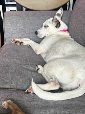 Lola ~ meet me! - Photo 4