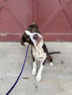 OTTO - Photo 1