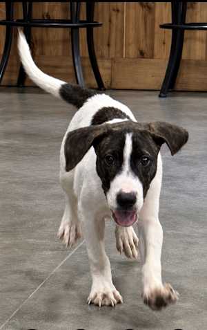 Rowdy ~ meet me! - Photo 1