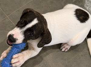 Rowdy ~ meet me! - Photo 2
