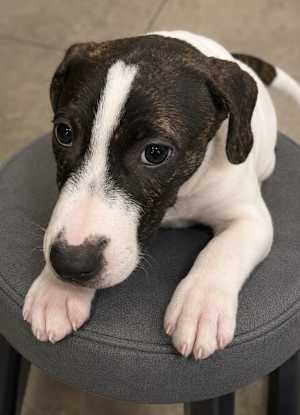 Rowdy ~ meet me! - Photo 4