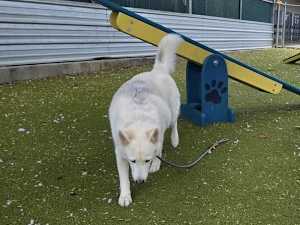 Perlay - Photo 4