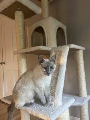 Darla - Photo 4