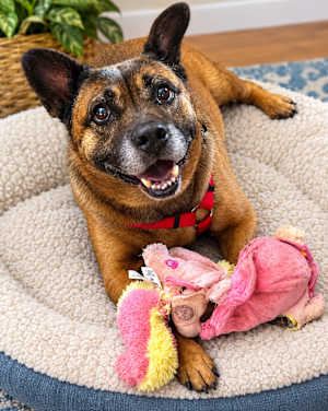 SOCRATES - Photo 1