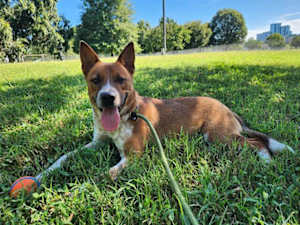 PIP - Photo 1