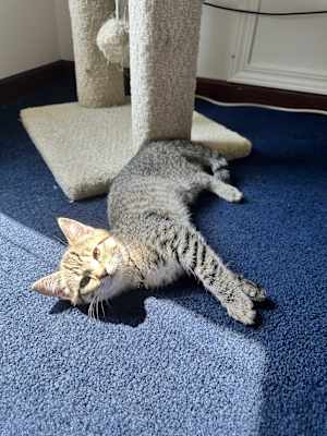 Rayla - Photo 1