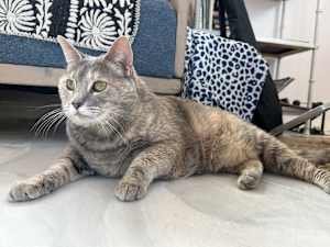 Hilde - Photo 2