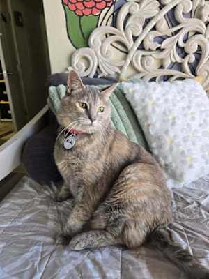 Hilde - Photo 3