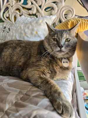 Hilde - Photo 4