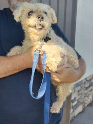 BOB - Photo 2