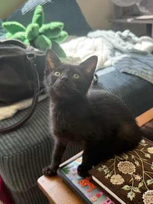 Templeton - Photo 1