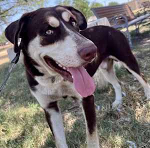 Buddy - Photo 3