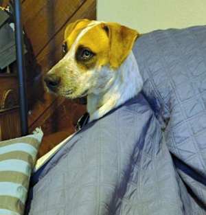 Unnamed - Photo 4