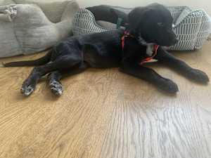 Sally - Photo 1