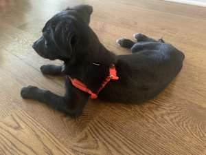 Sally - Photo 2