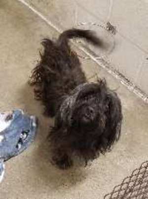 Brewster - Photo 1