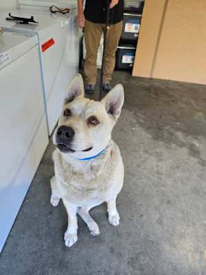 Ace - Photo 1