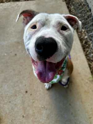 MYLO - Photo 1
