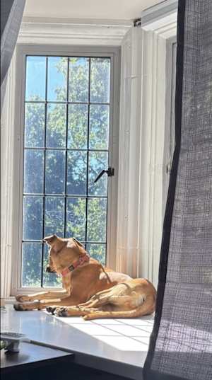 Tess (Tessa) ~ meet me! - Photo 4