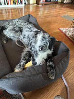 Fizz - Photo 4
