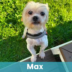 Max - Photo 1