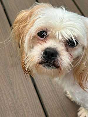 Max - Photo 2
