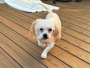 Max - Photo 3
