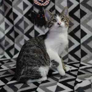 Princess Peach (Bonded to Mario) - Photo 1