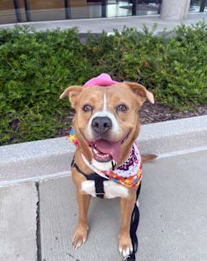 LIBBY - Photo 1