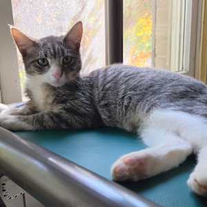 Ziggy - Photo 1
