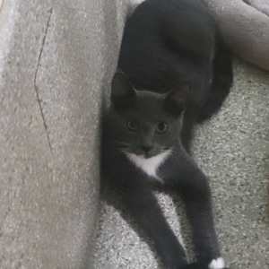 Lucky - Photo 1