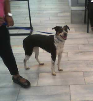 PENNY - Photo 1