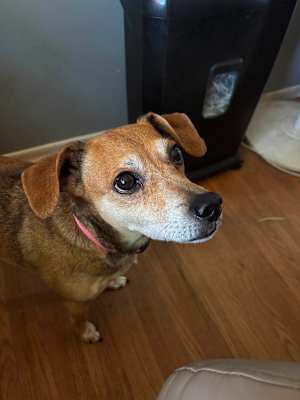 Missy - Photo 3