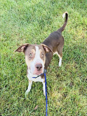TACO BELLE - Photo 1