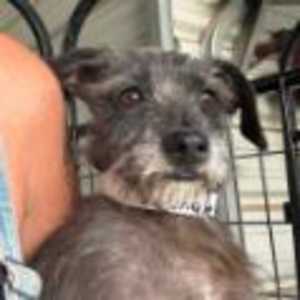 Milley - Photo 2