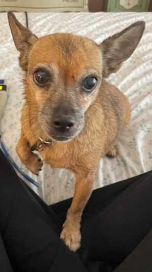 ROXY - Photo 1